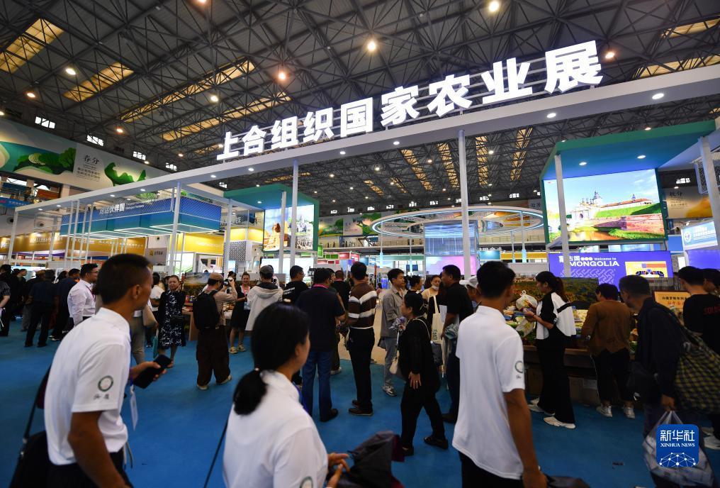 斗牛游戏下载